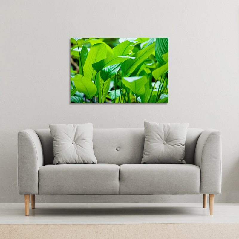 No Title by Andrew Lee - Wrapped Canvas Print