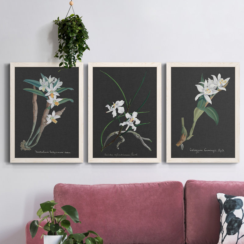 Orchidée sur ardoise I - ensemble de 3 peintures sur toile encadrées, Blanc, H 31,5 po x l 47 po x P 1,5 po