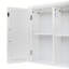 Norberto Bathroom Cabinet