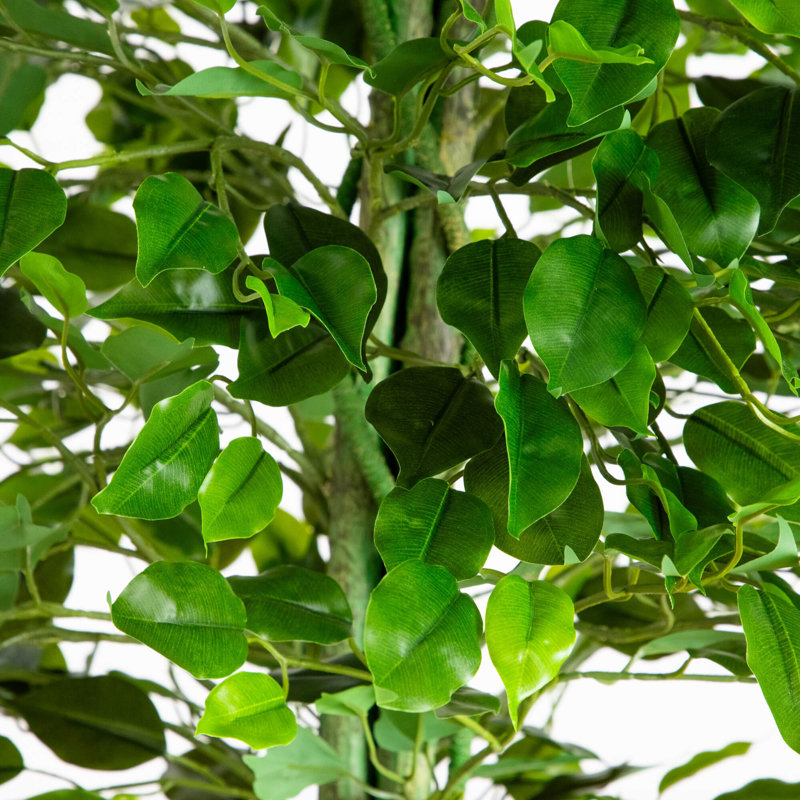 Ficus artificiel résistant aux rayons UV (intérieur / extérieur), H 78 po x l 30 po x P 30 po