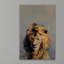 'Retrato De Lion" Print on Wrapped Canvas-27175587
