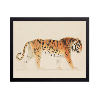Thomas Stothard - Un tigre