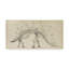 « dinosaur study iii », reproduction d’art sur toile tendue-33423584