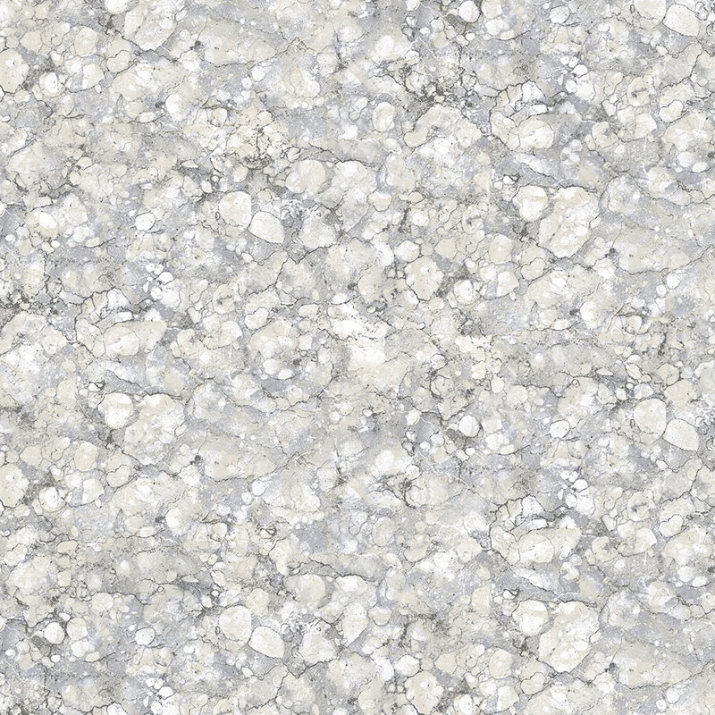 Rouleau de papier peint L 32,7 pi x l 20,5 po Champaign, Gris