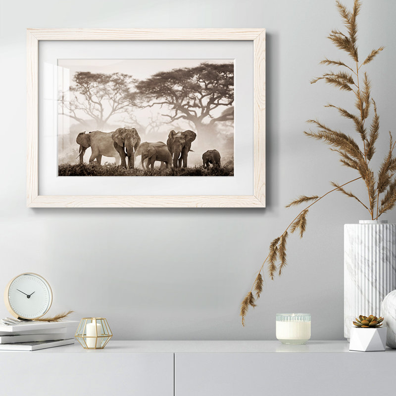 Parc national Amboseli, Blanc, H 14 po x l 20 po x P 1,5 po