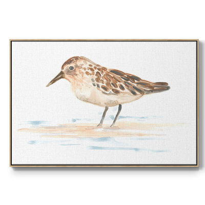 " Pretty Piper II "