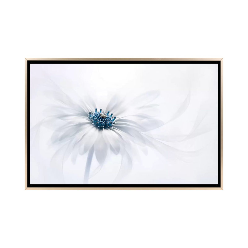 « Serenity » par Jacky Parker-reproduction de photo, Pas de tapis, H 18 po x l 26 po x P 1,5 po, Toile encadrée champagne