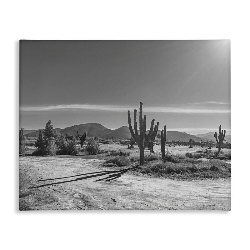Toile ensoleillée Cactus Valley, design par Norm Stelfox, H 16 po x l 20 po