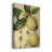 " Apple Harvest II "-1278618217
