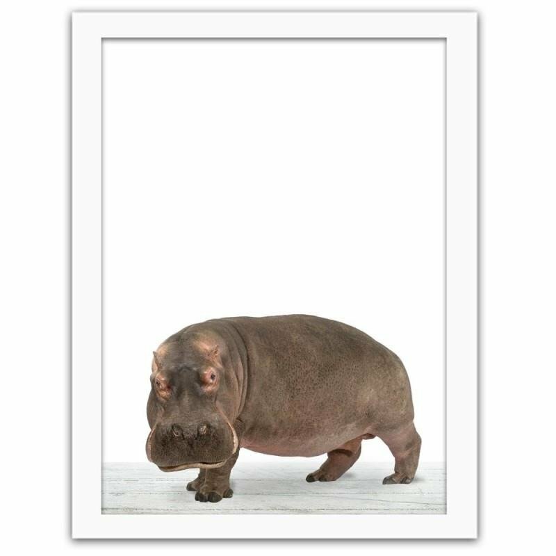 Gerahmter Fotodruck Hippopotamus