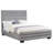 Modern/Contemporary Bed
