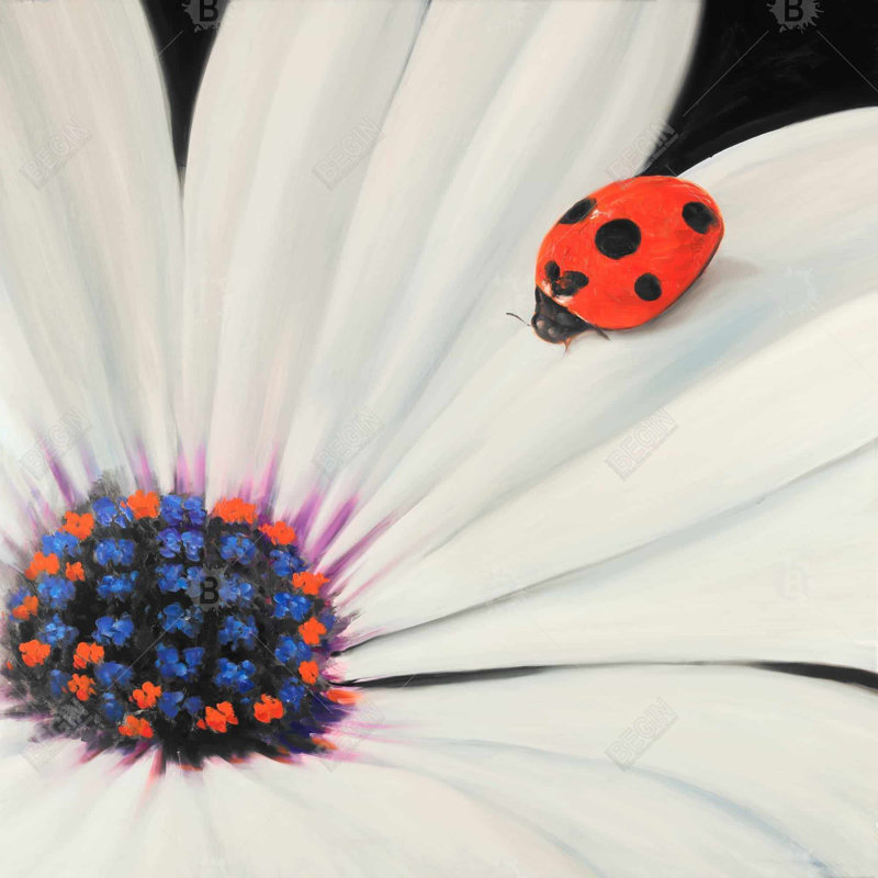 " White Daisy And Ladybug "