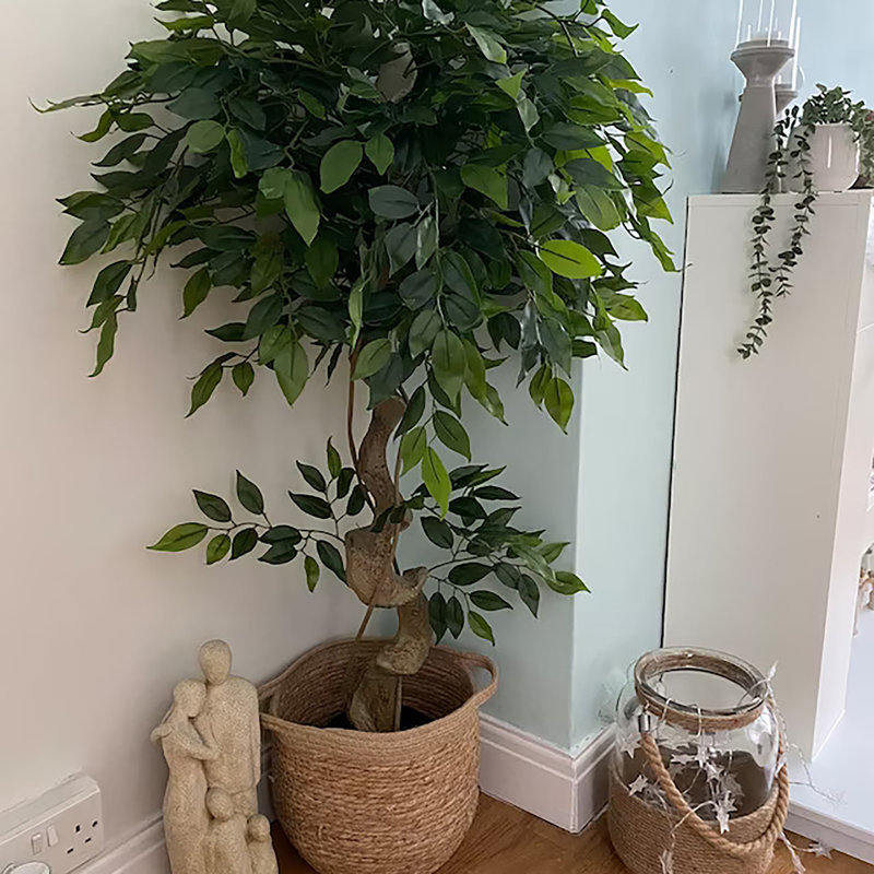 Faux Ficus Tree, Brown, 120cm H x 20cm W x 20cm D