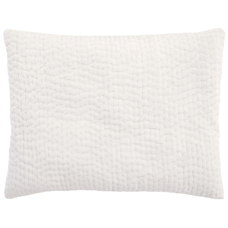 Viola Velvet Quilted Sham, Ivory, Standard