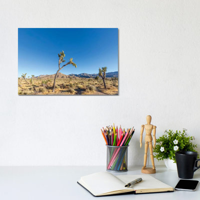 Scenic Joshua Tree National Park by Melanie Viola - Wrapped Canvas Print