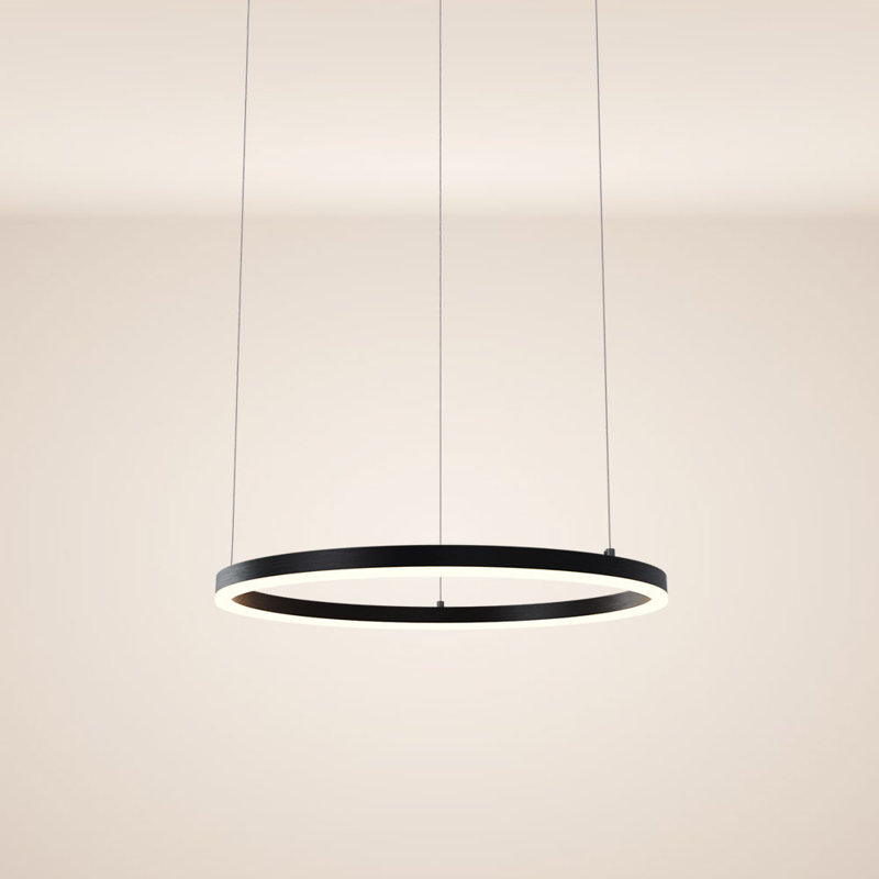 LED pendant light Ring 60 5m suspension 1, Black, 500cm H x 33cm W x 33cm D