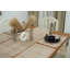 Tapis de salle à manger de 13 po x 19 po Fab divine - Protégez votre table avec élégance et fonctionnalité, Tarangini, brun