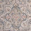Oriental Area Rug in Ivory/Navy-71610420