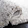 Audriaunna high pile rug