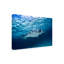 «Manta Ray» par Barathieu Gabriel - reproduction de photo sur toile tendue-339360774
