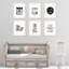 Ensemble de 6 impressions sur papier Dareios