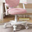 Ebern Designs Task Chair with Wheels