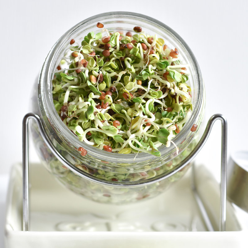 Geo Sprouting Jar System with Stainless Steel Rack and Ceramic Base Plate