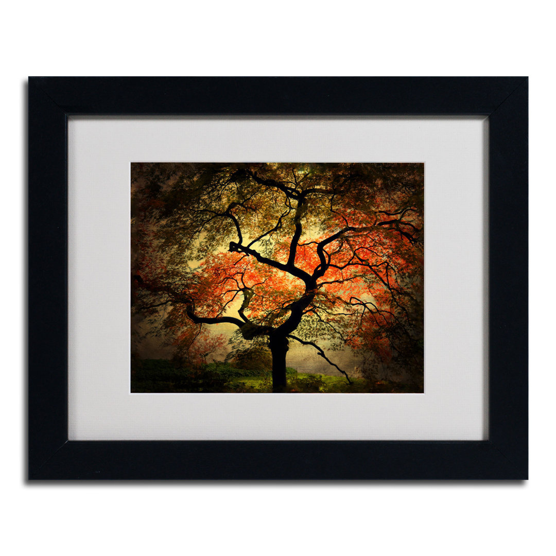 " Japanese " by Philippe Sainte-Laudy Hokku Designs Frame 