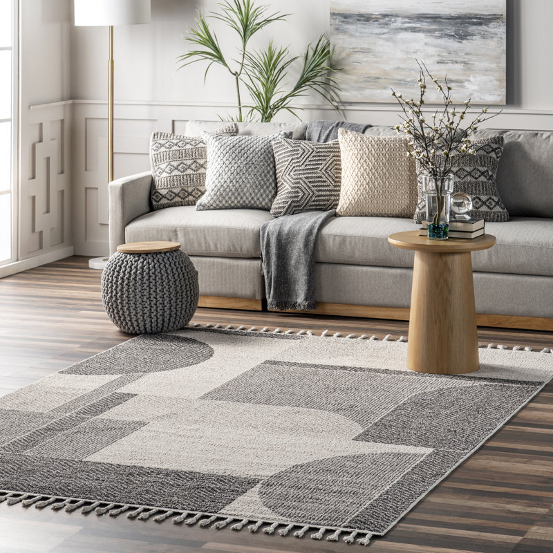 Joëlle Abstract Braided Tasseled Area Rug, Rectangle 5'3" x 7'7"