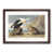 Walnut Framed selected