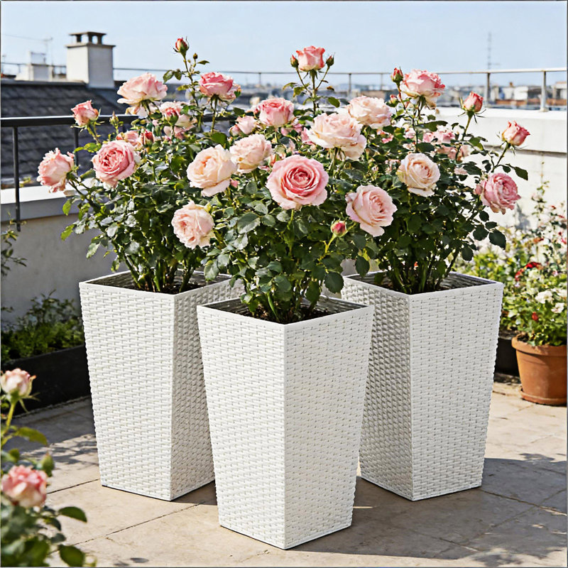 Ensemble de 3 pots à plantes, Blanc