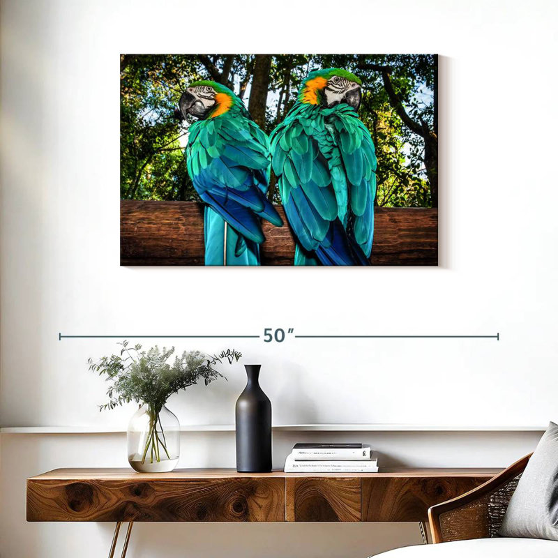 Brampt Macaw Parrots