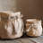 Claxten Handmade Pot Planter-656268225