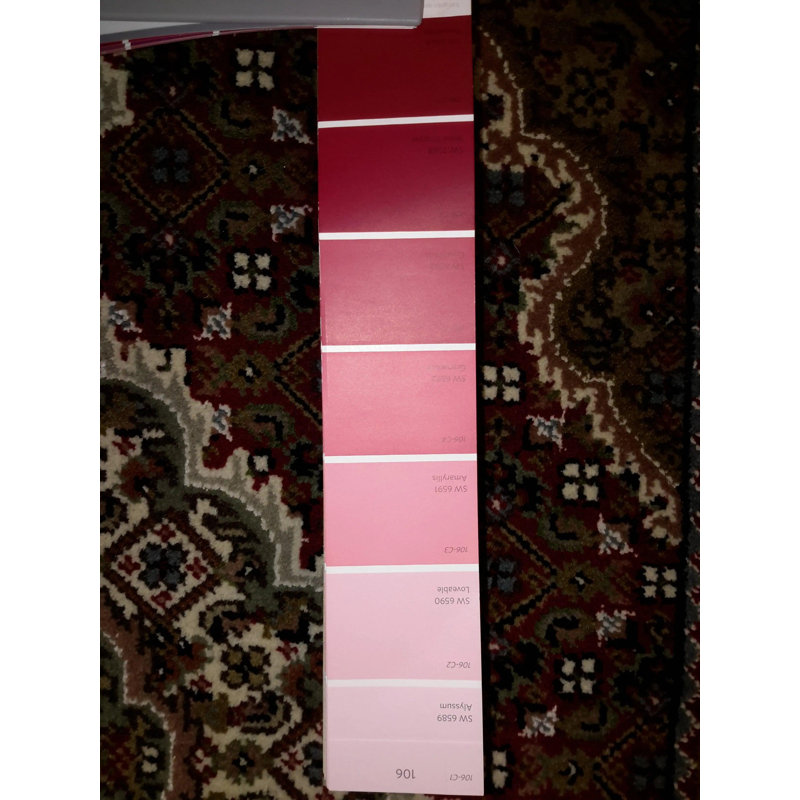 Nemecio Oriental Area Rug in Red