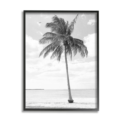 " Single Palm Tree Monochrome Tropical Beach Plant " by Graffitee Studios
