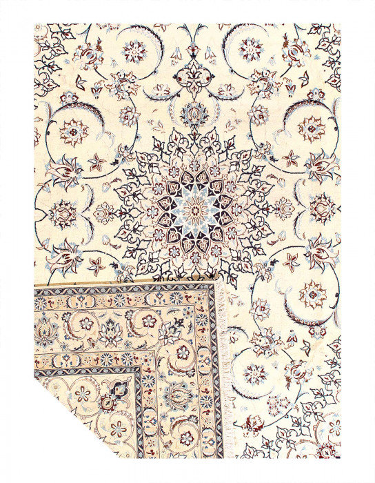Tapis ivoire en laine et soie 8 pi 2 po x 11 pi 5 po Alysa
