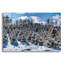 Art mural en verre Latitude Run «Snow On The Evergreen» par Rick Berk-279694336