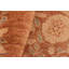 Tapis brun / rouge en laine noué à la main de style oriental rectangulaire 8 pi 1 po x 9 pi 10 po Baccio