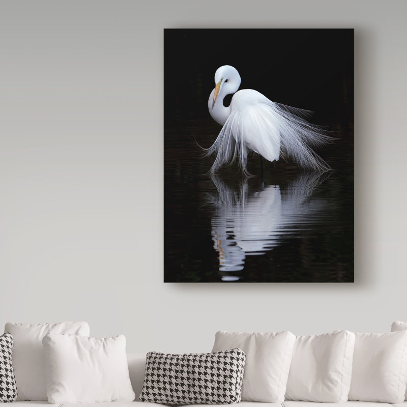 « watching white oiseau », reproduction de photo sur toile tendue, H 19 po x l 14 po x P 2 po