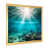 Gold Single Picture Framed