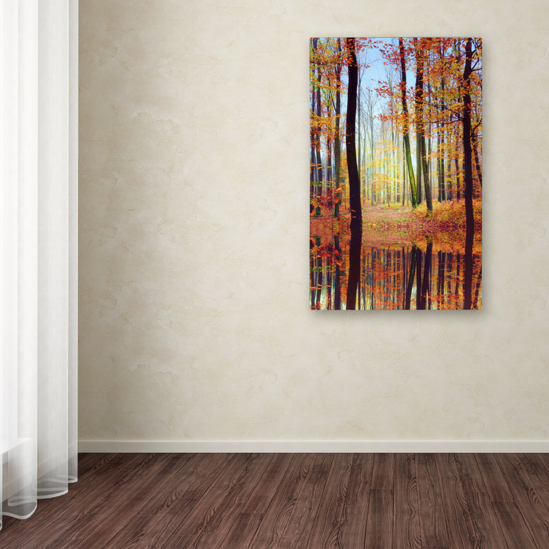 « automne mirror », reproduction de photo sur toile tendue, H 19 po x l 12 po x P 2 po