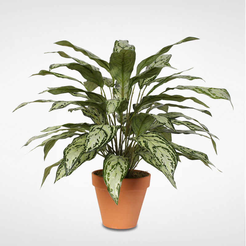 Faux Queen Plant Plant in Ceramic Pot