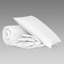 Royal Goose All Season Down Comforter-57290055
