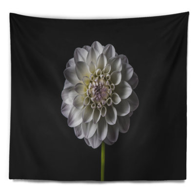 Dahlia floral avec tapisserie noire
