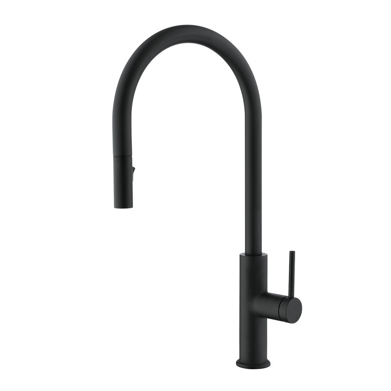 DAX Pull Out Kitchen Faucet, Matte Black