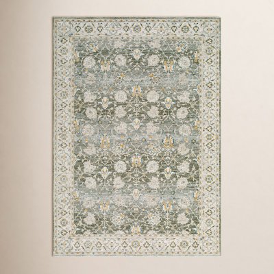 Delyse Oriental Rug