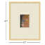 Mid Century Monoprints Print