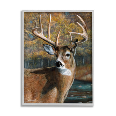 Art mural sur toile Stupell Industries Woodland