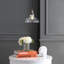 Luminaire suspendu pour dôme simple 1 lumières Carraway