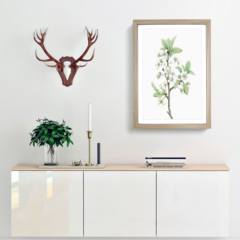 Plum Tree Flowers by Pierre-Joseph Redoute - Picture Frame Painting Print, 48cm H x 36cm W x 2cm D, Oak Framed